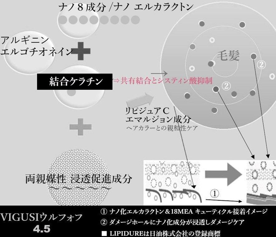 2024年５月販売予定のVIGUSIウルフォフの４代目